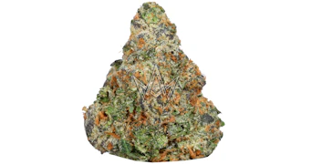 Wizard Trees - Limelight - 3.5g