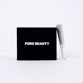 Pure Beauty Babies - Black Box - 5pk Preroll 1.5g