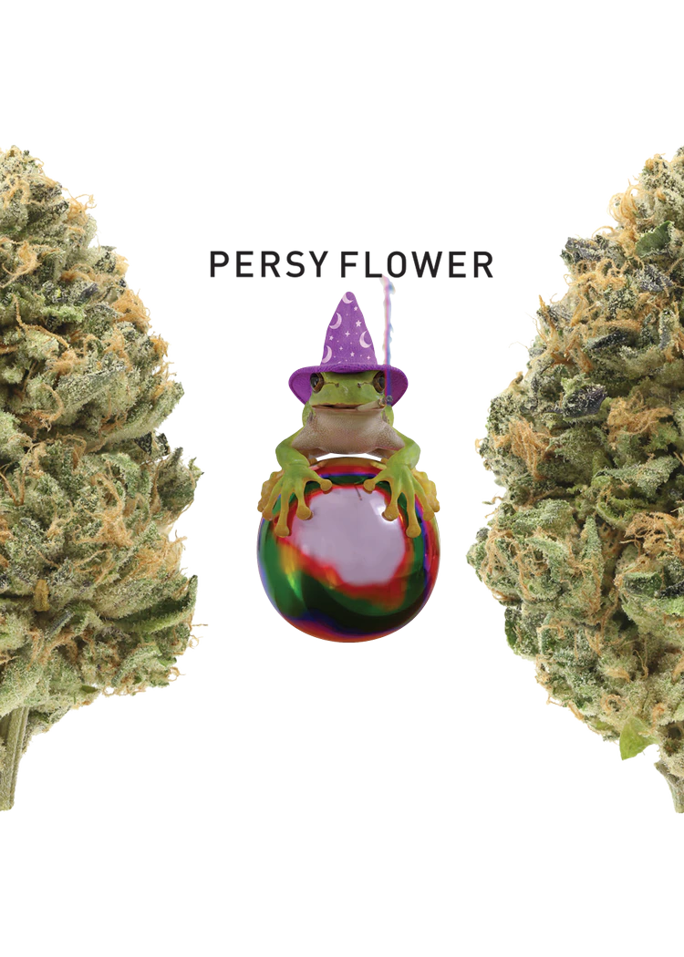 710 Labs - 710Labs - Persy Flower - Hazel Nut Piff #8 - 3.5G Main Image