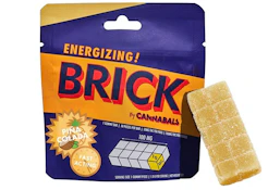 Pina Colada - 100mg Gummy Brick