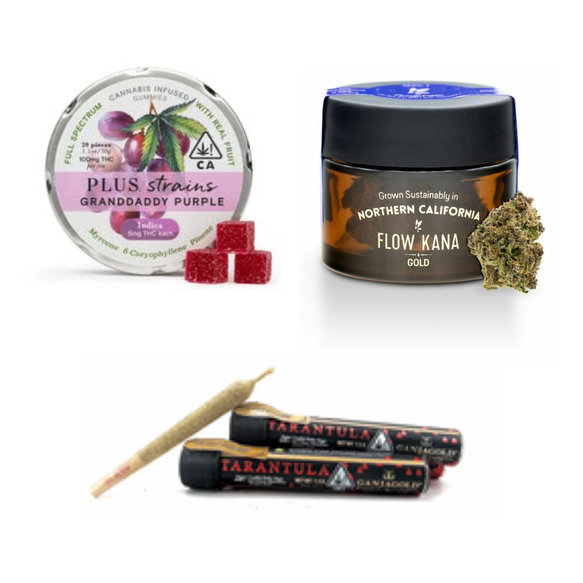 Buzz - [Next Day] Indica Bundle Main Image