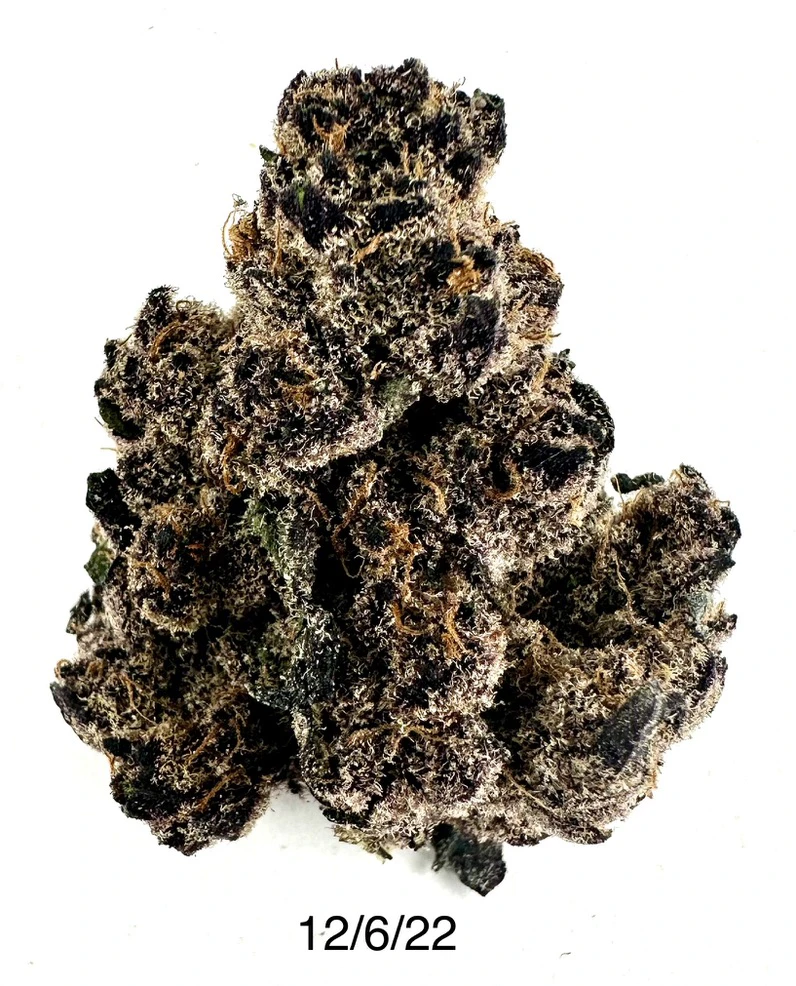 Oddfellow Cannabis - Oddfellow Cannabis - Tropicana Cookies X Cherry Pie Main Image