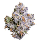 Whole Fruits - 3.5g (H) - Fig Farms