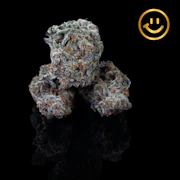 Excolo | Pure Michigan | indoor flower