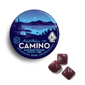 Camino Gummies Midnight Blueberry CBN 5:1