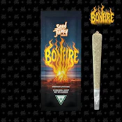 Bonfire - 1g (H) - Seed Junky