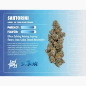 Santorini - 7g (H) - Seed Junky