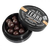 Kiva Terra Dark Chocolate Almond CBD 1:1 Bites