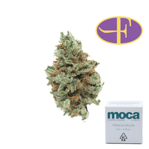 Moca - Kiwi Strawberry