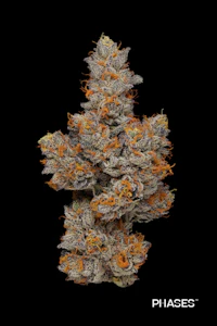 PHASES - Reverie - 3.5g (H) - PHASES