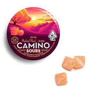 Camino - Sours Orchard Peach 1:1