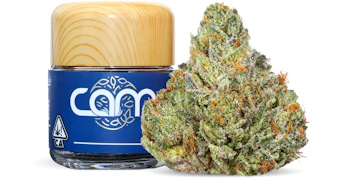 CAM - Laughing Gas Private Reserve - 3.5g