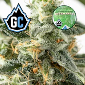 Green Crack (PRE-PACKED GRAM) ADULT-USE