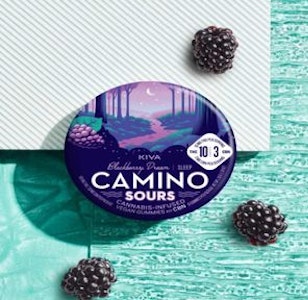 CAMINO - [Camino] CBN Gummies - 1:1:1 - Sour Blackberry Dream Sleep (I)