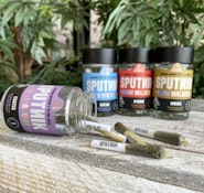 Sputnik - Infused PreRoll 7 Pack - Hybrid 3.5G