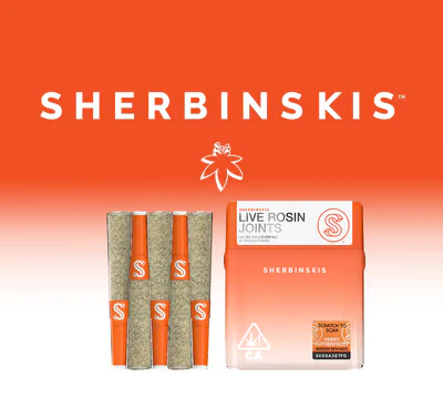 Sherbinskis - Sherbinski - Preroll - Rosin - Matcha - 5 Pack Main Image