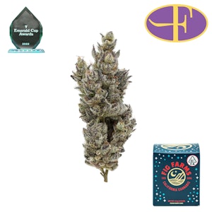 FIG FARMS - Holy Moly!