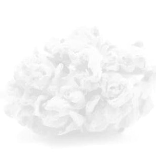 NorCal Mixed Light Flower 1oz - GRUNTZ 30%