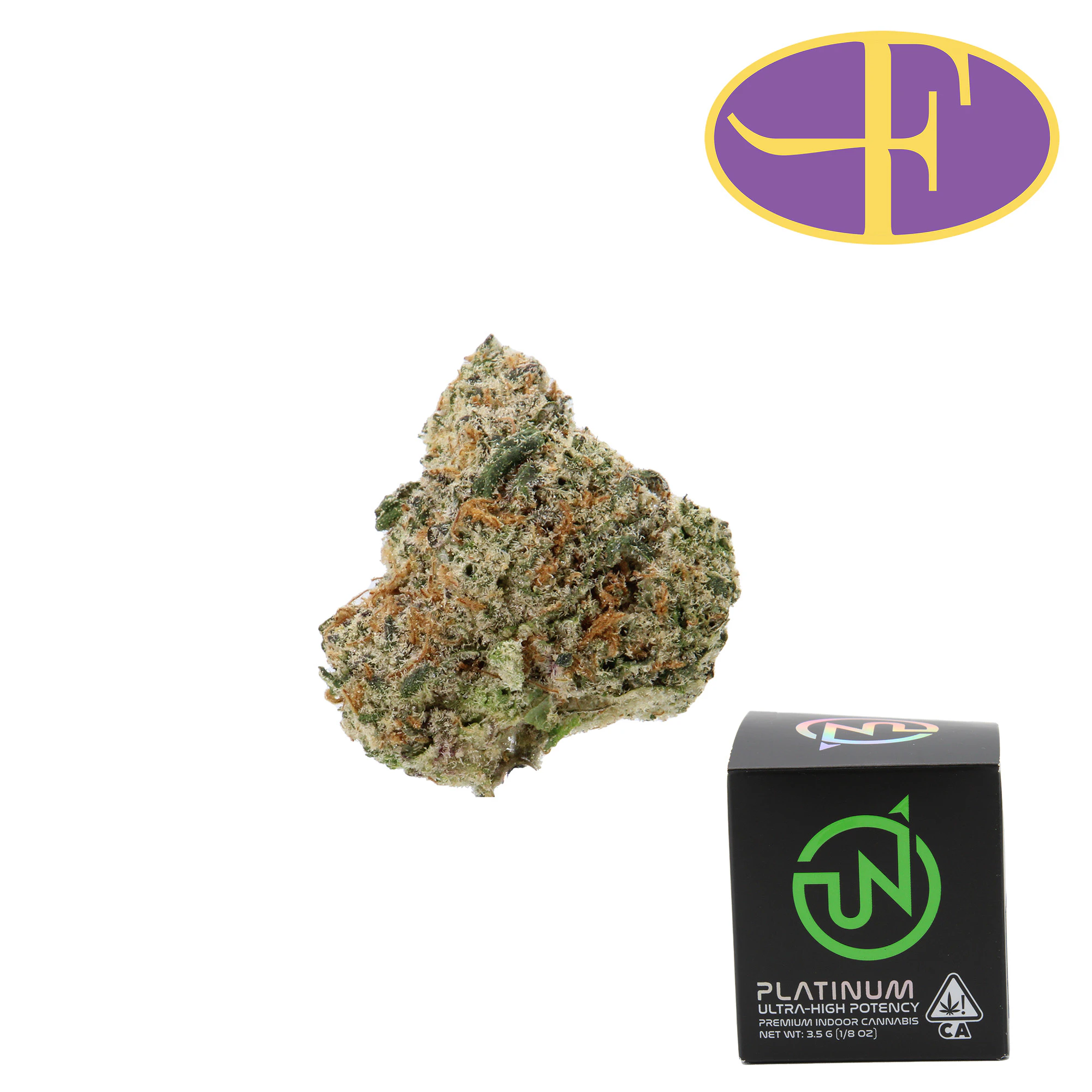 UpNorth - Blue Dream Main Image