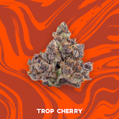 VIVID - TROP CHERRY 3.5 GRAMS