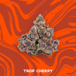 VIVID - VIVID - TROP CHERRY 3.5 GRAMS