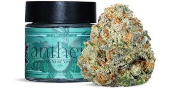 Antheia - The Black - 3.5g