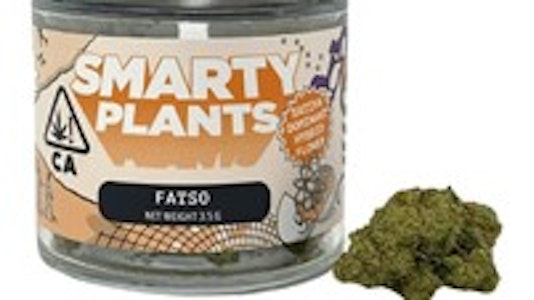 Smarty Plants - Smarty Plants Fatso 3.5g Jar