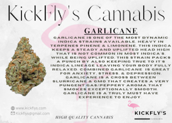 Kickfly | Garlicane | 14g