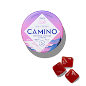 Kiva - Camino - Indica - Wild Berry "Chill" - 20pk - Gummies - (100mg THC)