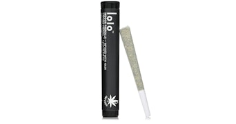 Lolo - Tropical Smoothie Infused Pre-Roll - 1g