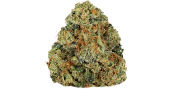 True Classic - OG - 3.5g