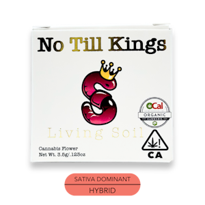 NO TILL KINGS - No Till Kings - Mimosa - Flower - 3.5g