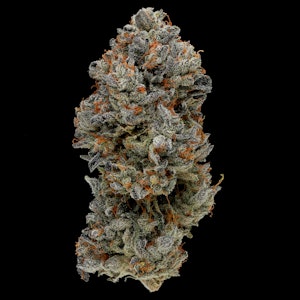 FIG FARMS - Blue Face - 3.5g (H) - Fig Farms