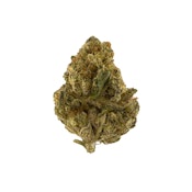 Almora Farm - Tropicana Cookies - 3.5 Grams