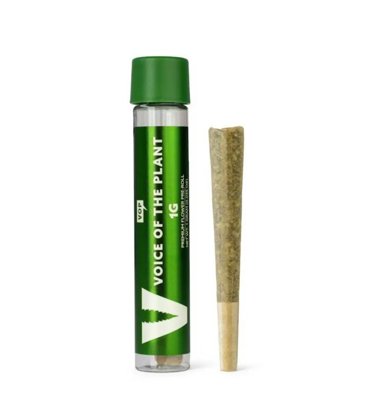 VOP| GELATO 33 | 1g Pre-roll