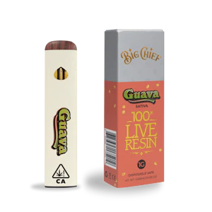 Big Chief Extracts - Guava (S) | 1g Disposable | Big Chief
