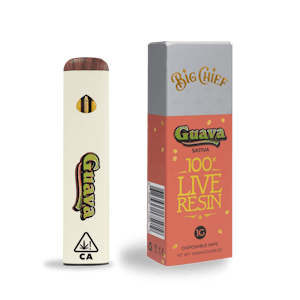 Big Chief Extracts - Guava (S) | 1g Disposable | Big Chief