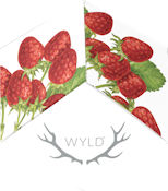 WYLD Strawberry Hybrid Gummies 20:1 10mgTHC/200mgCBD