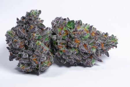 CAM - Manzano Gelato - 3.5g (SH) - CAM