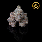 Excolo | Wonder Cookie | indoor flower