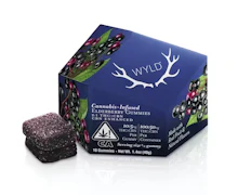 WYLD | Elderberry 2:1 | THC:CBN | Gummies | 100mg 
