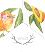 WYLD - Peach 2:1 (50mg THC / 100mg CBD) Hybrid Enhanced