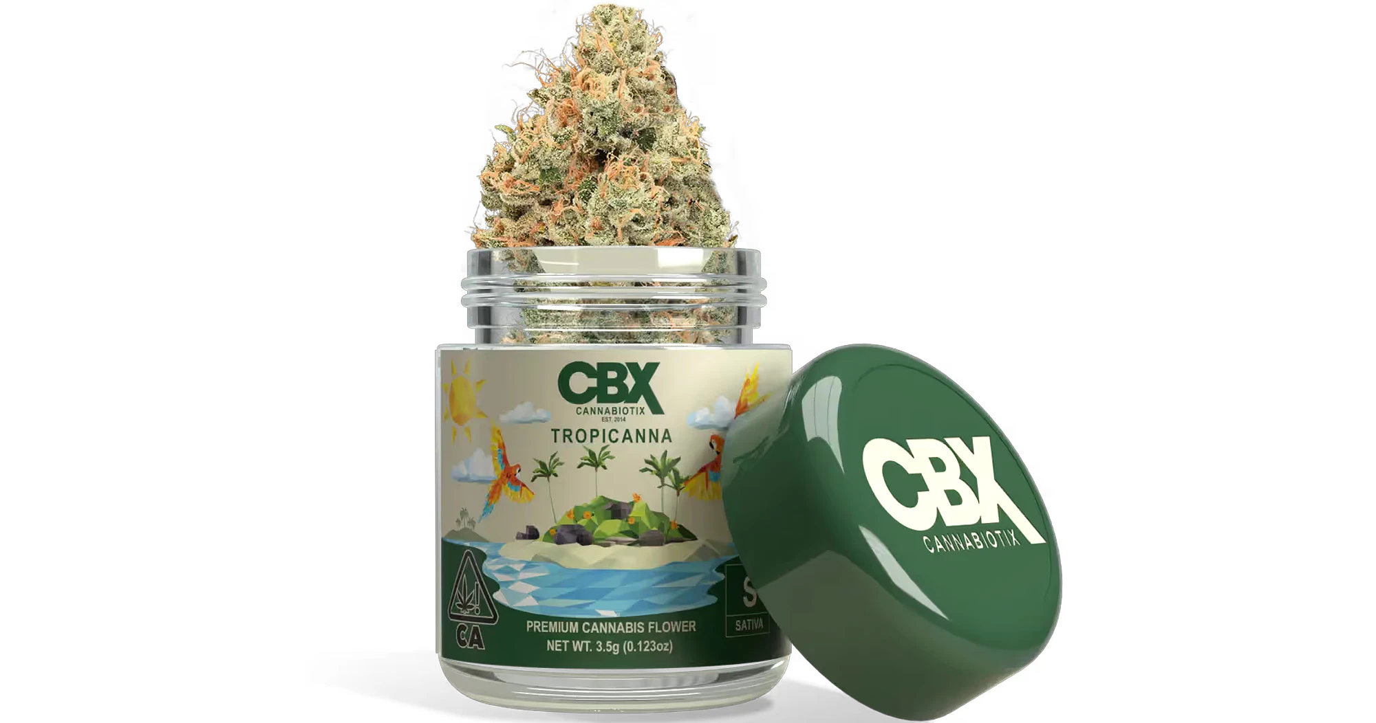 CBX: Cannabiotix - Cannabiotix - Tropicanna - 3.5g Main Image