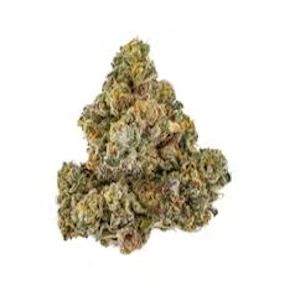 FloraCal - MACaroon | 8th | FloraCal