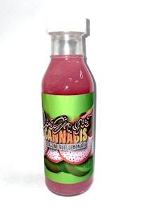 DOS GRINGOS - Dos Gringos Dragonfruit Lemonade 100mg