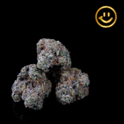 Resin Ranchers | Wedding Cake | indoor flower