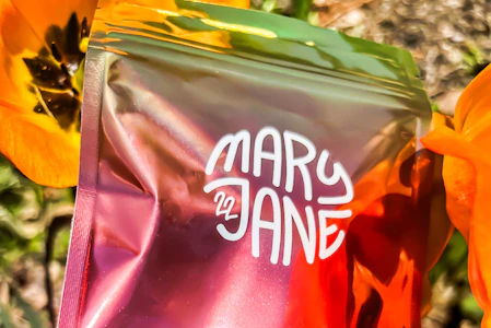 Mary Jane 22 - Mary Jane 22 - Rainbow Variety Gummies - 50mg