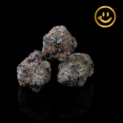 Pacific Grove | Tokyo Sweet | indoor flower