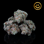 Pacific Grove | Super Silver Haze | indoor flower