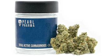 Pearl Pharma - Jealousy OG - 3.5g